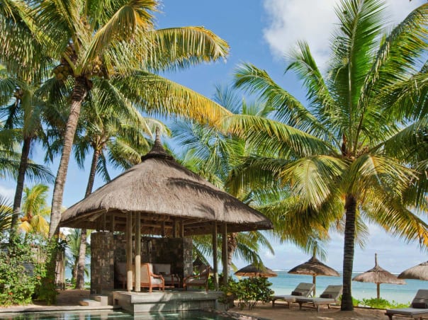 Complimentary Renewal Of Vows